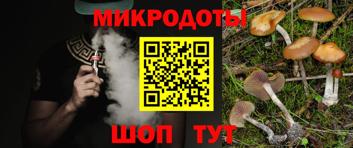 Галлюциногенные грибы Magic Shrooms Советский